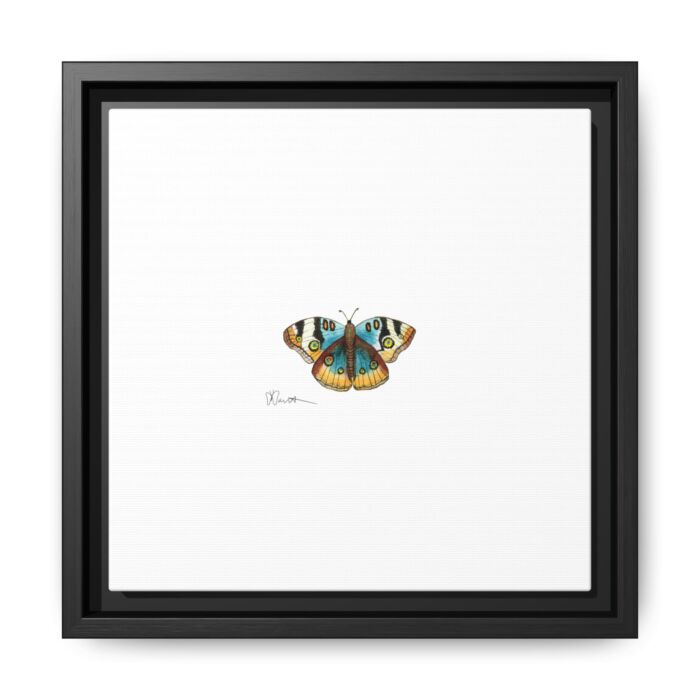Blue Buckeye - Gallery Canvas Wraps with Floater Frame - Image 2