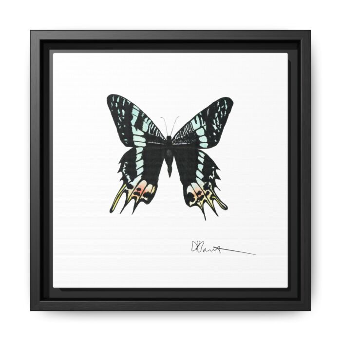 Madagascan Sunset Moth - Gallery Canvas Wraps with Floater Frame - Image 2