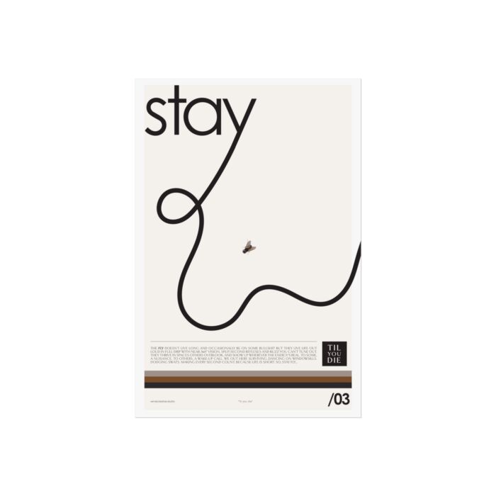 Modern Stay Fly Art Poster | Minimalist Wall Decor - Image 5