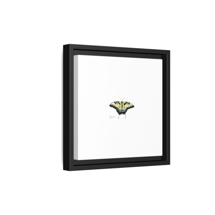 Tiger Swallowtail - Gallery Canvas Wraps with Floater Frame